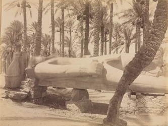 Statue de Ramsès à Saqqarah, vers 1870-1880