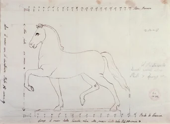 Étude pour un cheval pour un monument équestre