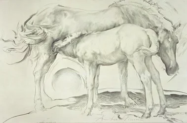 Chevaux à Coolmore, 1990