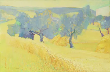 Oliviers en Toscane, 1966