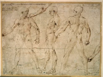 Trois hommes nus. Dessin d