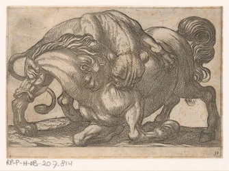 Une lionne attaquant un cheval