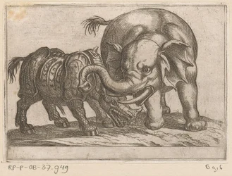 Un rhinocéros combat un éléphant