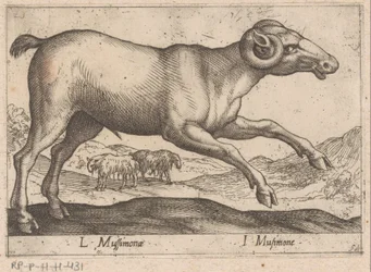 Caprin (Animaux et créatures fabuleuses)