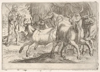 Hercule et les bœufs de Géryon