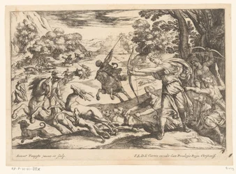 Chasse aux cerfs