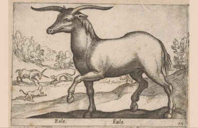 Cheval avec des cornes