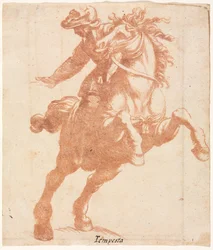 Steigendes Pferd und Reiter