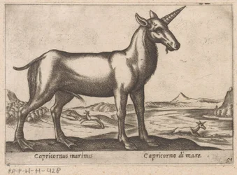 Capricorne marin