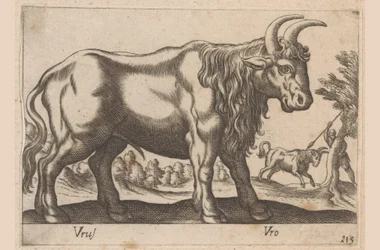 Taureau