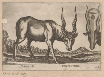 Deux antilopes (série Dieren en fabelwezens, Nova raccolta de li animali piu curiosi del mondo)
