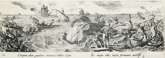 Chasse à la baleine, gravure d