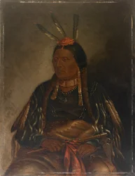 Che-tan-ce-ta Faucon Jaune, vers 1887