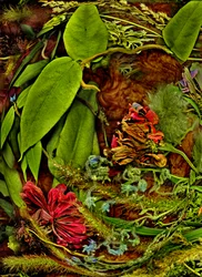 Autres mondes No. 113