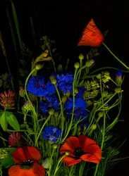 Bouquet original, 2025 (photo)