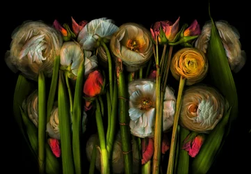 Earthart flora no.3, 2024 (photo)