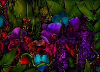 Jardin magique n°27-3, 2011 (photo)