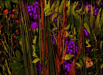 Jardin magique n°39-3, 2019 (photo)