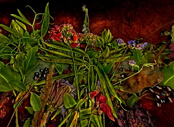 Nature morte m 3, 2014 (photo)