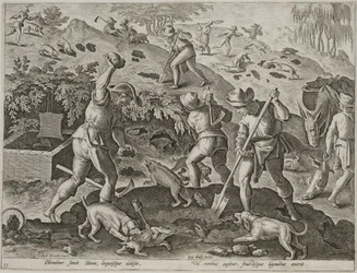 Chasse au blaireau