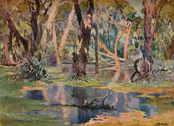 Quindanning Pool, vers 1927