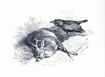 Cerf mort et corbeau, de Thorburn