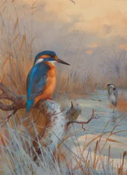 Poissons gelés : Martin-pêcheur et héron dans un paysage hivernal