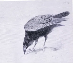 Corbeau, publié par Book Club Associates