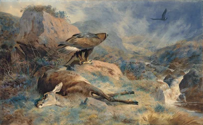 La Biche perdue
