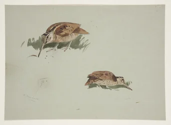 Deux vignettes de bécasses, v. 1915