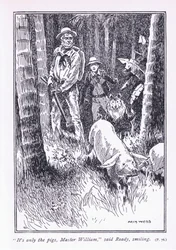 Ce ne sont que les cochons, Maître William, dit Ready, années 1900