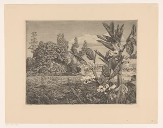 Paysage avec fleurs