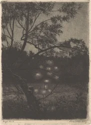 Jardin avec arbre lumineux