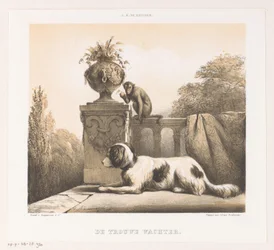 Chien et singe sur une terrasse