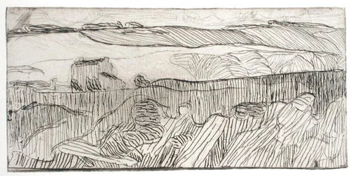Paysage rayé