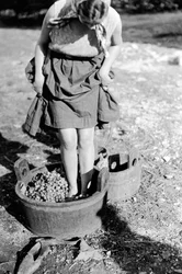 Foulage du vin dans une cuve, Italie