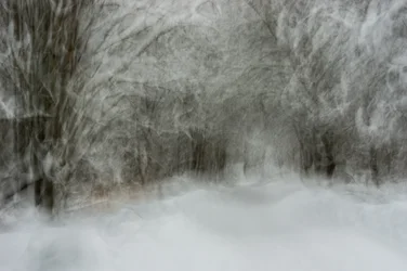 Un sentier enneigé de rêve