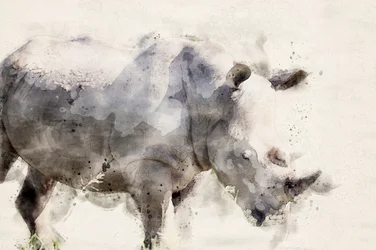 Un rhinocéros gracieux à l