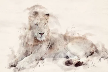 Aquarelle « Le majestueux lion blanc »