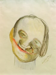 Caricature 8