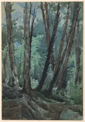 Forêt