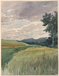 Paysage de campagne