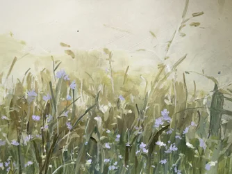 Fleurs bleues dans un pré