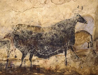 Vache noire. Peinture des grottes de Lascaux, vers 16 000-15 000 av. J.-C.