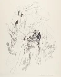 Les hommes oiseaux