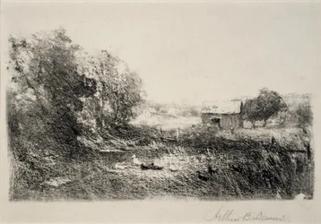 Étang aux canards