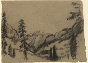 Paysage de montagne avec sapins