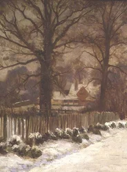 Ormes dans une allée enneigée