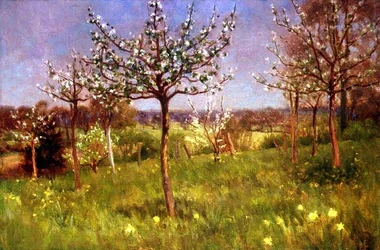 Printemps dans le verger