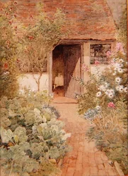 Choux dans un jardin de cottage